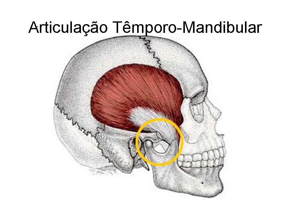 As 7 Maiores Dúvidas Sobre Articulação Têmporo-Mandibular